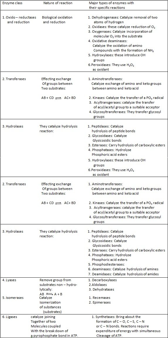 major classes of the types of reaction catalyzed by them